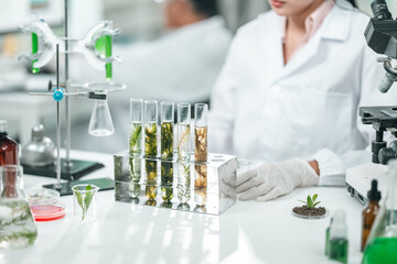 Scientists examining plant and algae samples in a modern laboratory, conducting pharmaceutical...