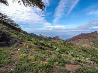 Landscape in Tenerife island from Spain in Springtime