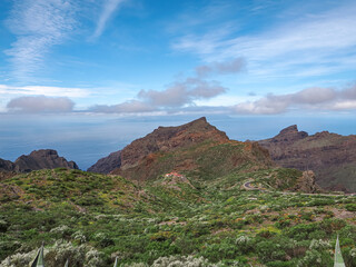 Landscape in Tenerife island from Spain in Springtime
