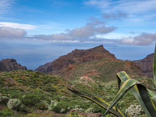 Landscape in Tenerife island from Spain in Springtime