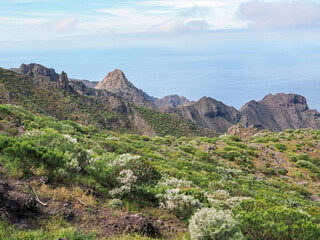 Landscape in Tenerife island from Spain in Springtime