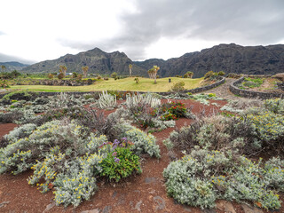 Landscape in Tenerife island from Spain in Springtime