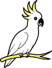 parrot on a white background