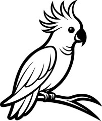 parrot on a white background