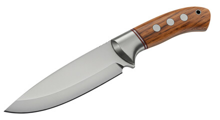Isolated Hunting Knife