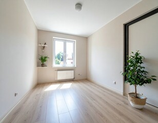 Modern Empty Room with Natural Light and Indoor Plant Decor
