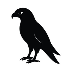 hawk black head silhouette 