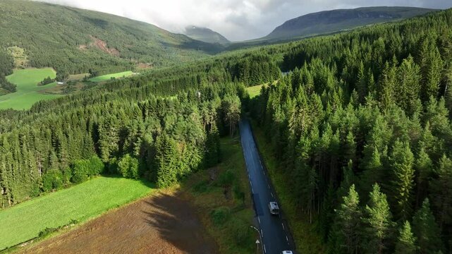 Drone shot of dark flourishing trees and a mountain valley with roads and a running car