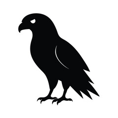 hawk black head silhouette 