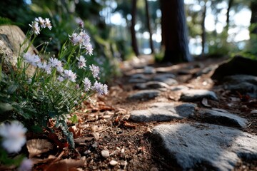 Fototapeta premium A serene pathway adorned with delicate wildflowers, surrounded by lush trees, invites wanderers to explore the beauty of nature and enjoy a peaceful stroll in the woods.