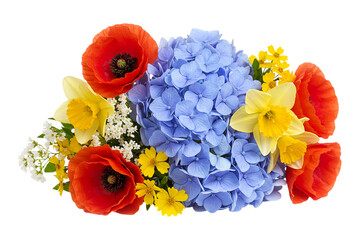 Bright mixed flower bouquet with poppy, hydrangea, daffodil, solidago isolated on white background. Colorful floral arrangement studio shot, garden blooms gift.