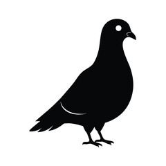 pigeon black head silhouette