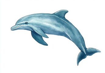Fototapeta premium Gray Dolphin Leaping Watercolor Illustration White Background