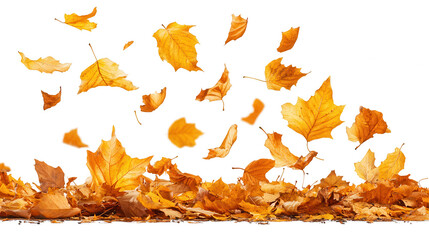 Falling Autumn Leaves on PNG Transparent Background for Decoration Projects