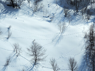 日本の冬の北アルプス山脈の雪景色と動物の足跡の様子