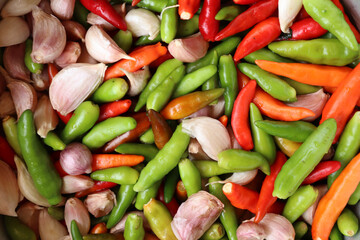 Red and green chili with garlic