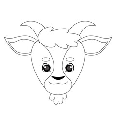 42 - Animals head coloring