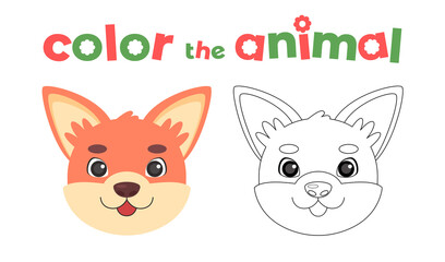 42 - Animals head coloring