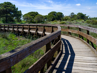 Fototapeta premium Close up of a wooden bridge crossing the vegetation of a lagoon landscape