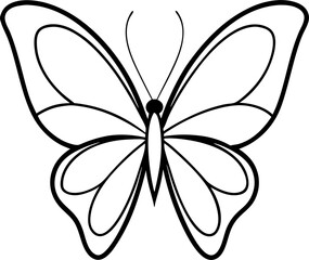 butterfly vector illustration