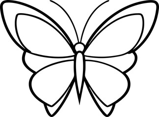 butterfly vector illustration