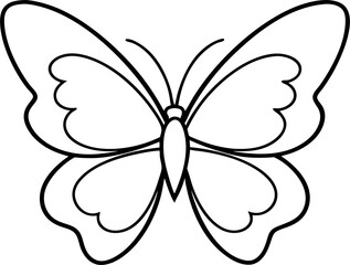 butterfly on white background