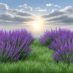 Fototapeta premium Sunrise Lavender Field Purple Flowers and Green Grass Under Partly Cloudy Sky