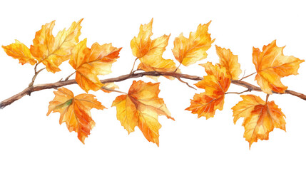 Obraz premium Watercolor Autumn Leaves on a Branch, PNG transparent background illustration