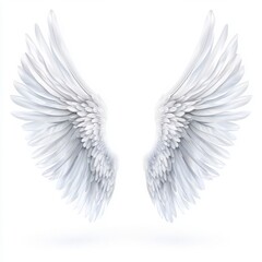 Fototapeta premium Pair Of Large White Angel Wings On A White Background