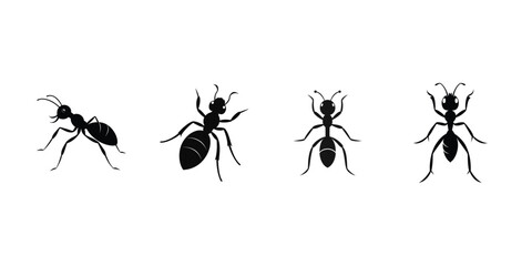 Ant Silhouette Vector Set  Black Insect Clipart for Design Projects
