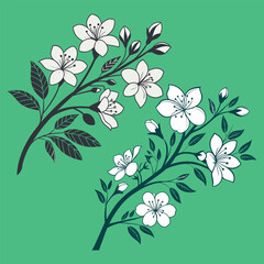 Elegant Jasmine Branch Illustration floral background with flowers