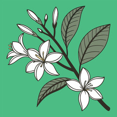 abstract Elegant Jasmine Branch Illustration floral background