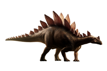 Stegosaurus with spiked plates walking across a transparent background