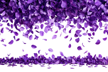 Cascading purple petals, ethereal and vibrant