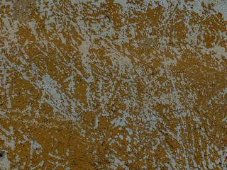 Schäden an der Hauswand durch wild gewachsenes Efeu