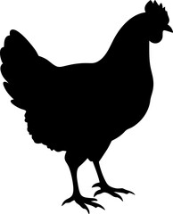 chicken silhouette  black and white  high contrast.eps
