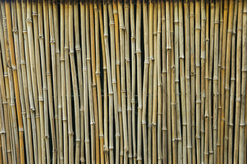 Background, texture, bamboo, brown, a look from the outside at simple things.