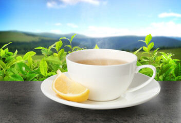 Cup of green tea and lemon wedge on black table against tea plantation in mountains