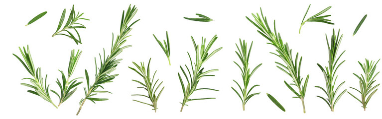 Fresh aromatic rosemary isolated on white, collage