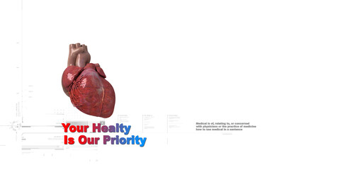 3d illustration  Anatomy of Human Heart 