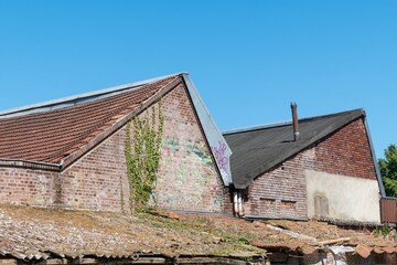 Ivy climbing brick wall of abandoned industrial building with graffiti