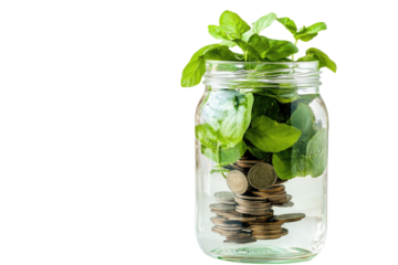 Glass jar with coins and growing plant