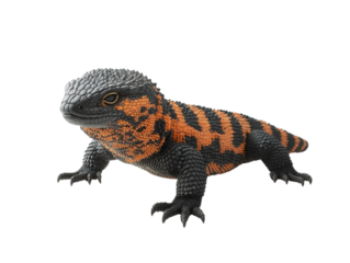 Colorful lizard with striking patterns and details.