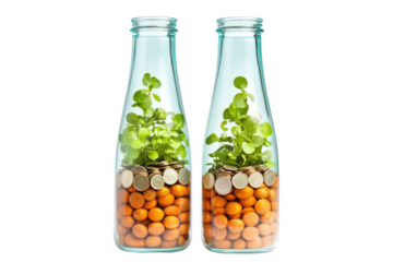 Two glass bottles, each containing coins and a small plant, symbolizing growth and investment