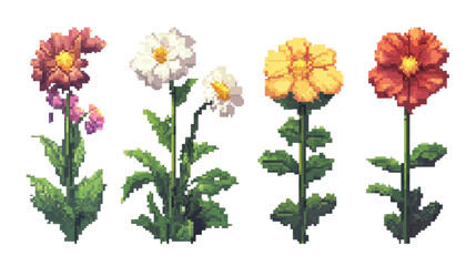 Obraz premium Colorful flowers in varied shapes and sizes.