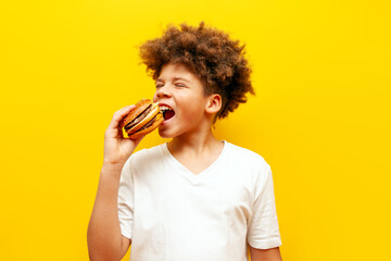 cheerful curly african american boy eating burger on yellow isolated background, hungry teenager holding cheeseburger and advertising fast food © Богдан Маліцький