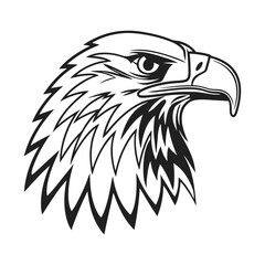 Eagle silhouette set vector design big pack of bird illustration and icon