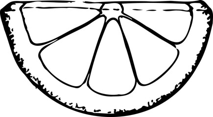 Hand drawn vector illustration of lemon slice isolated on a white background.