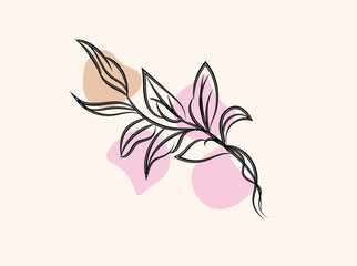Elegant Minimalist Line Art Botanical Illustration with Abstract Shapes