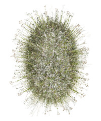 Top view Colorful flowers and grass field in nature with isolated on transparent background - PNG file, 3D rendering for create and design or etc